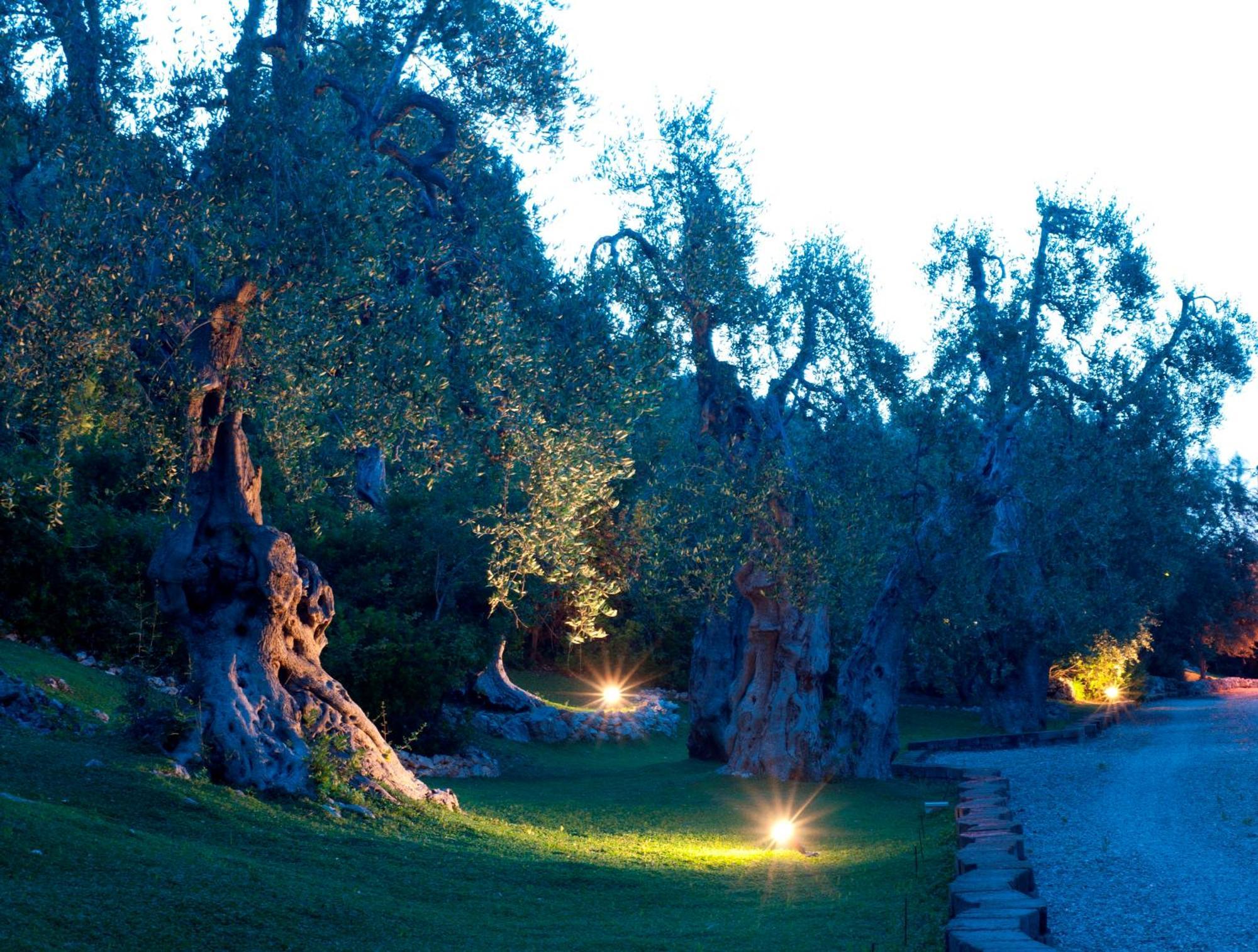 Masseria La Chiusa Delle More Peschici Eksteriør billede