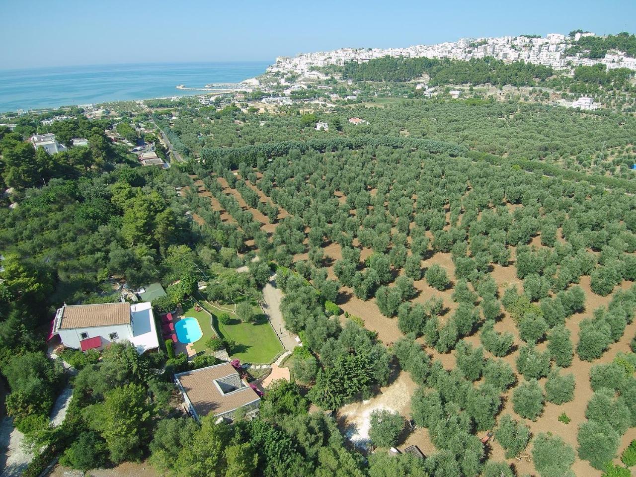 Masseria La Chiusa Delle More Peschici Eksteriør billede